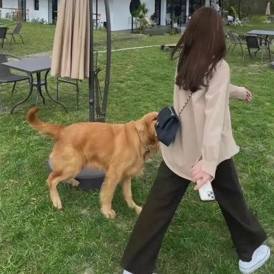 云裳风暴